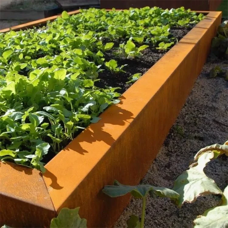 Steel Edging Steel Edging