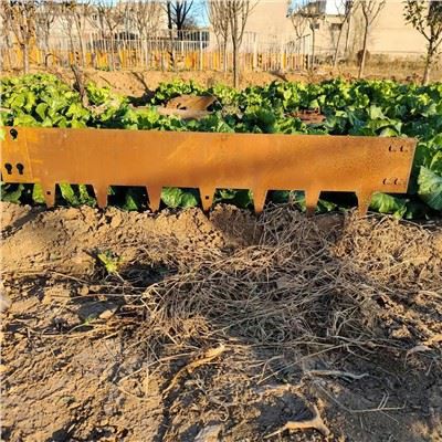 Edinstveni vrtni robovi Corten Steel