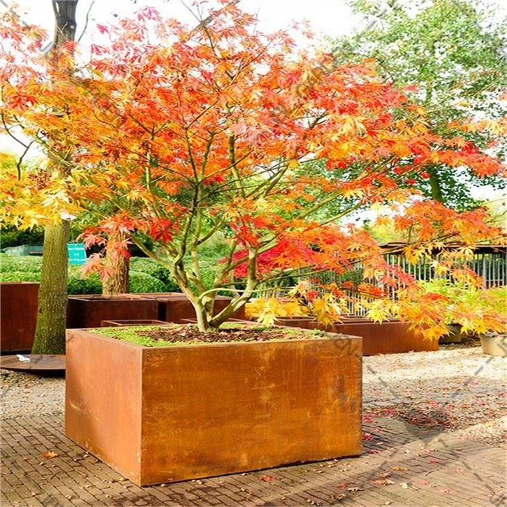 Tall Metal Planters Outdoor