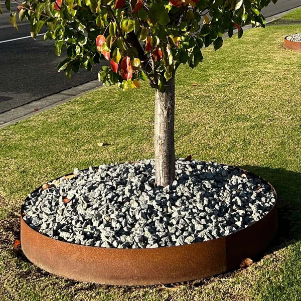 tree ring 7 tree ring 7