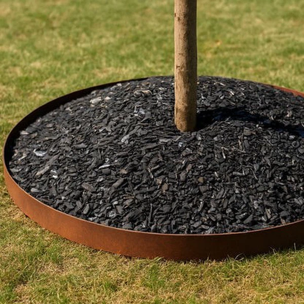 tree ring 6 tree ring 6