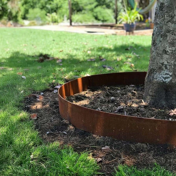 tree ring 8 tree ring 8