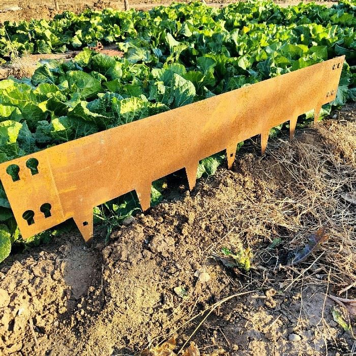 Rusty Corten Steel Garden Edging best