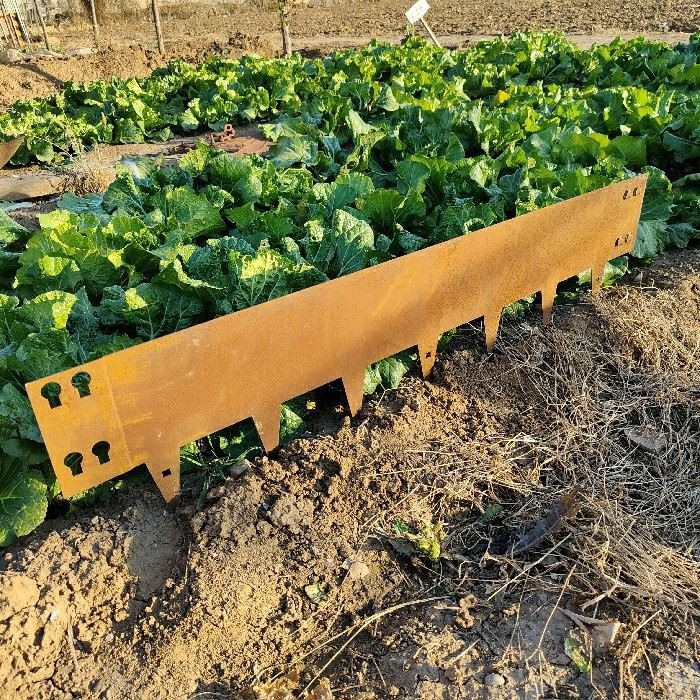 Rusty Corten Steel Garden Edging price